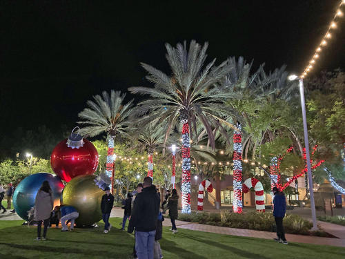 ヤシの木もクリスマスカラーに電飾