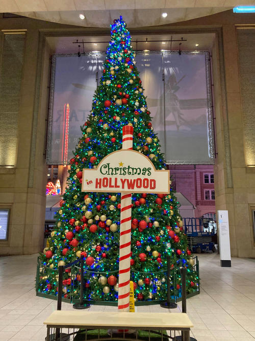 ハリウッドのクリスマスツリーは記念撮影スポットとして人気