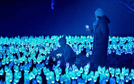カラフルなイルミネーションが彩る夜の植物園を散策できる人気イベント