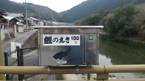 錦川にかかる橋の鯉のえさ100円が、いい感じでした