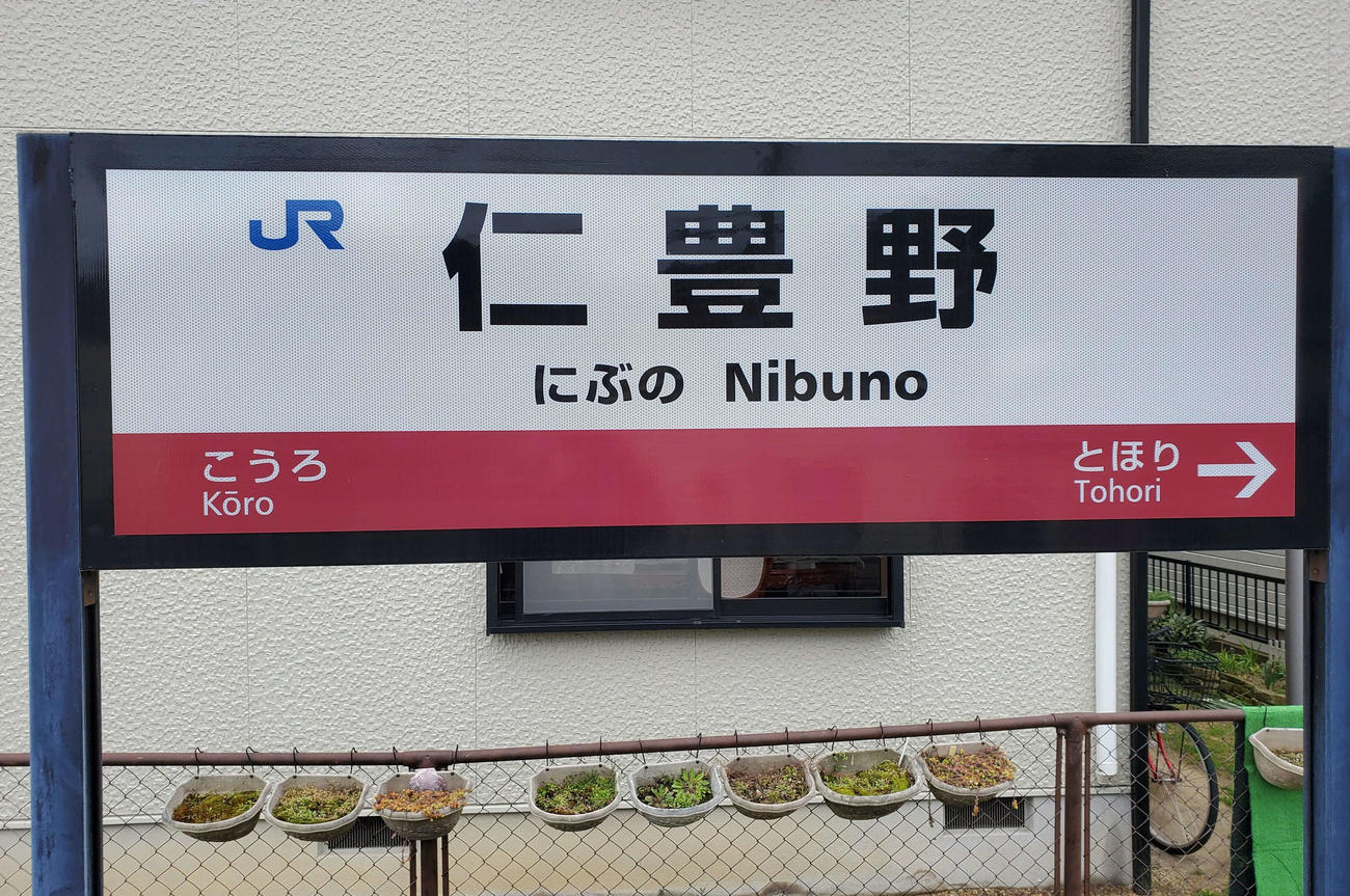 （写真4）