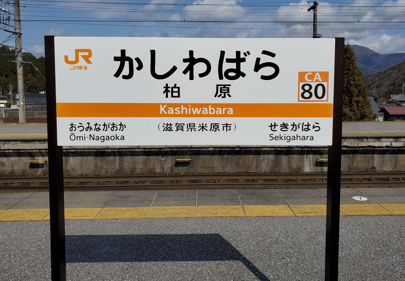 （写真7）