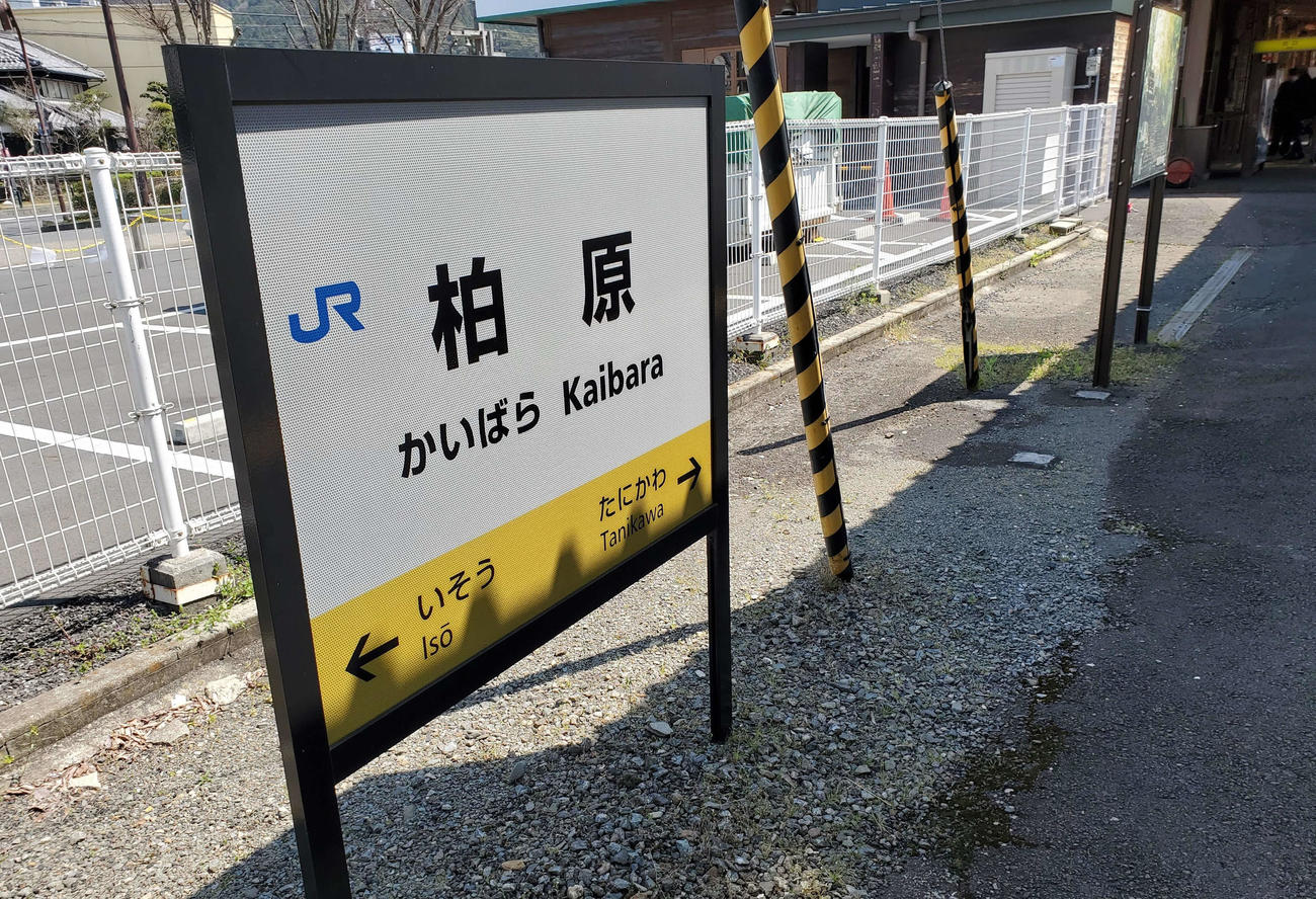 （写真8）