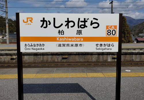 （写真7）