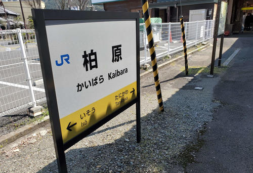 （写真8）