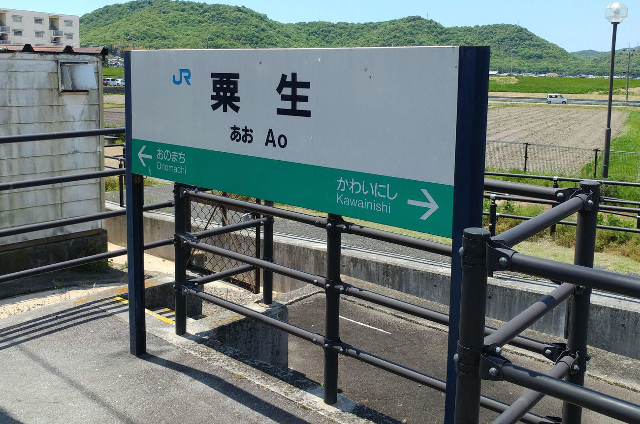 （写真6）