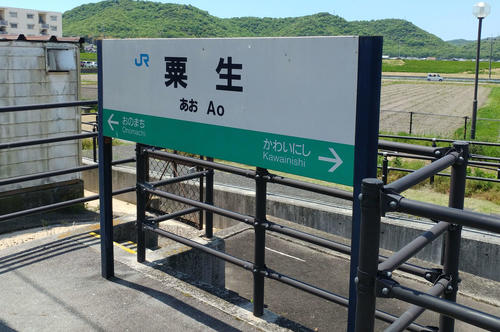 （写真6）