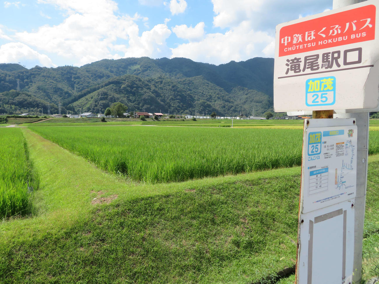 〈2〉滝尾口駅のバス停。美作滝尾駅が田んぼの向こうに見える。1日3本のバスを目指した