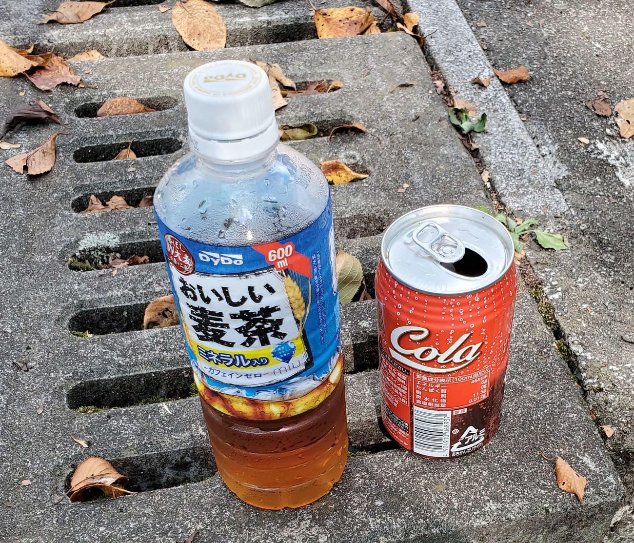 〈6〉1リットル近くのコーラと麦茶を一気に飲み干してしまった
