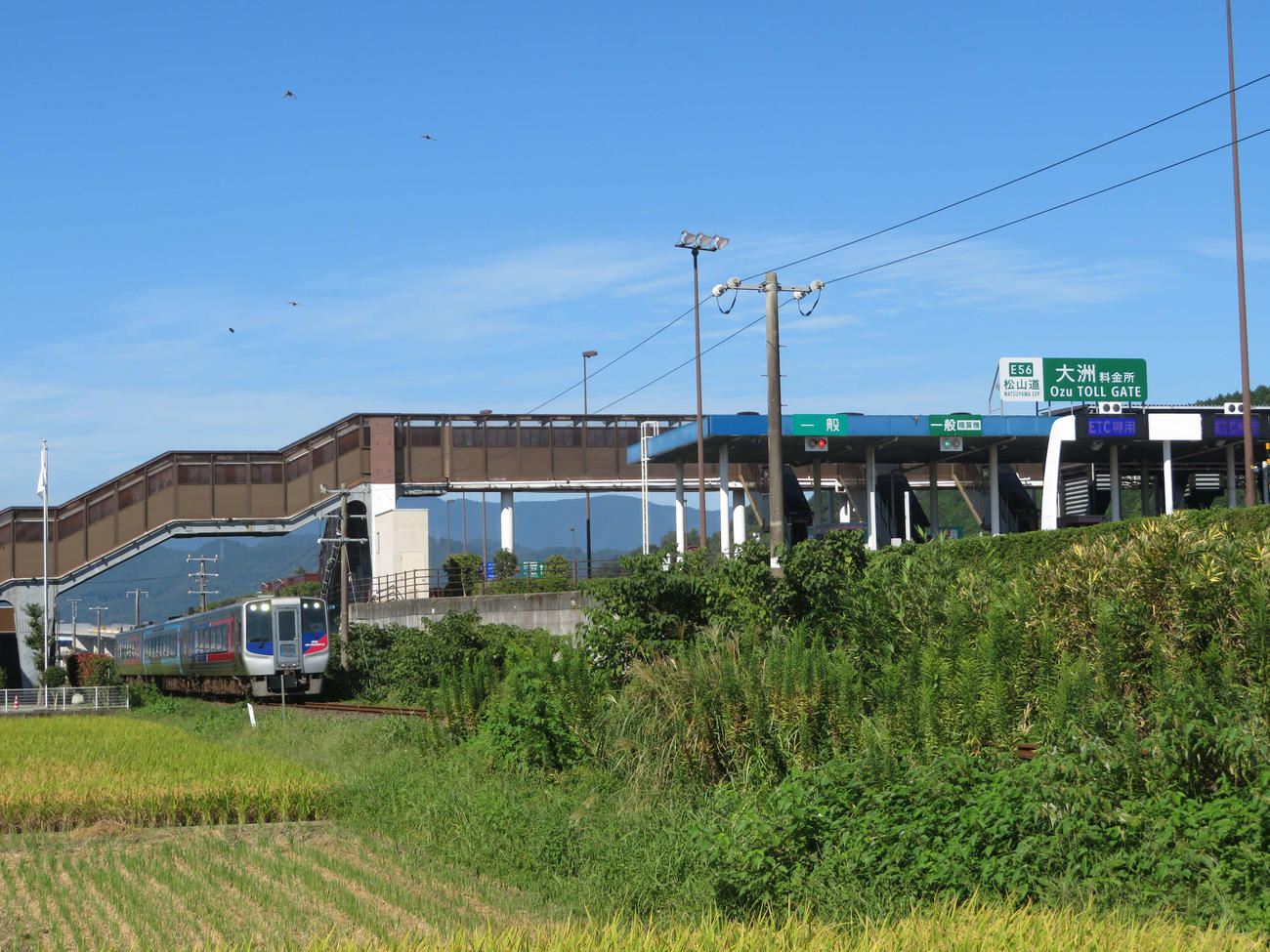〈1〉松山自動車道大洲料金所の横を特急が通る