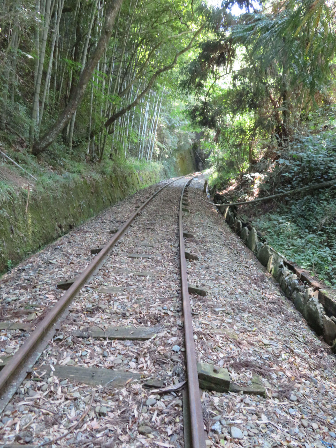 〈12〉今も列車がやって来そうなほどきれいにレールが残っている