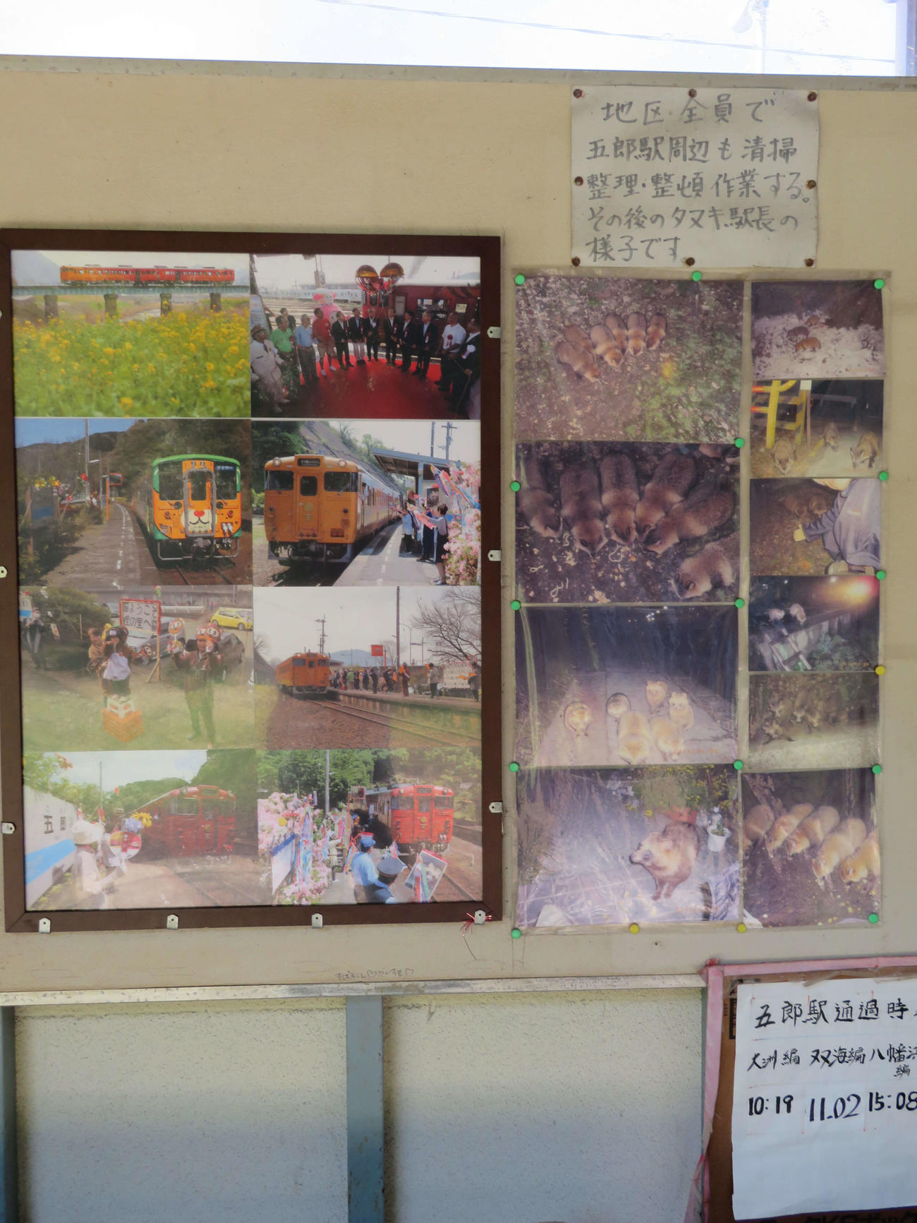 〈9〉待合所には過去の写真とタヌキの説明がある