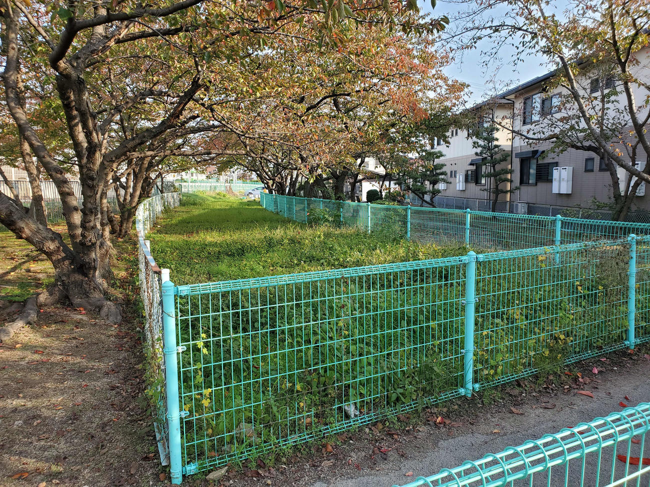 〈5〉公園内を横切るどう見ても廃線跡。分岐線があったようだ
