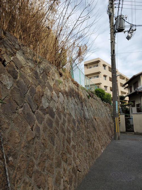 〈6〉線路はこの土手を通って地上に降りていきマンションの方向に向かっていたと思われる