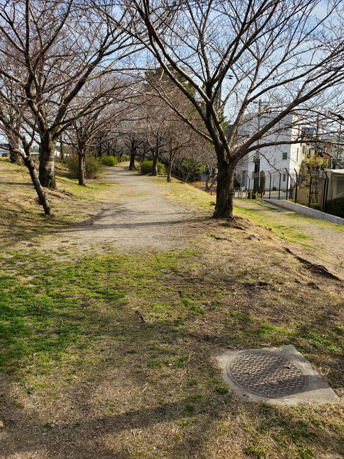 〈7〉武庫川沿いの遊歩道。廃線跡に見えなくもないが、右側の道路に降りていく部分もそう見える