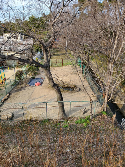 〈9〉武庫大橋から北側を見る