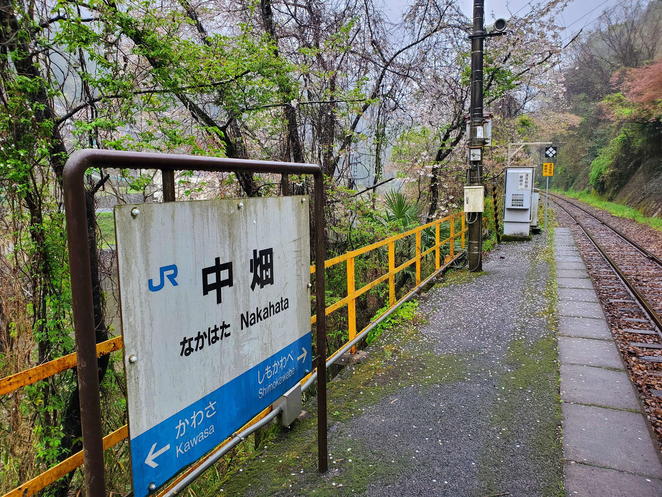 〈6〉中畑駅の駅名標。ホームの桜は葉桜になりつつあった