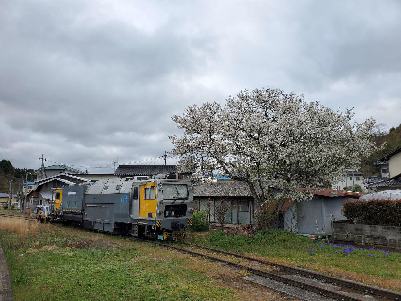 〈12〉側線の保安車。まだギリギリ桜が残っていた