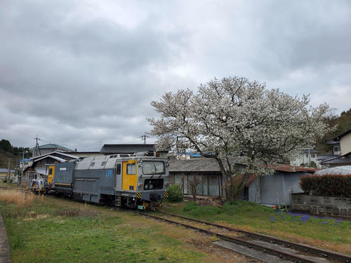 〈12〉側線の保安車。まだギリギリ桜が残っていた