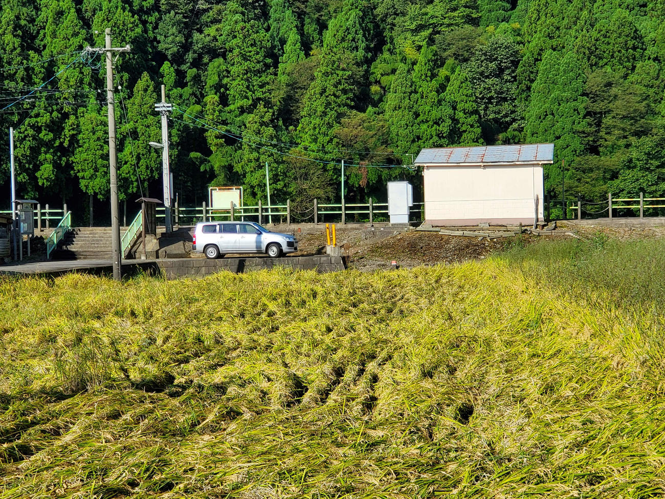 〈3〉田んぼの向こうに簡素な駅がある