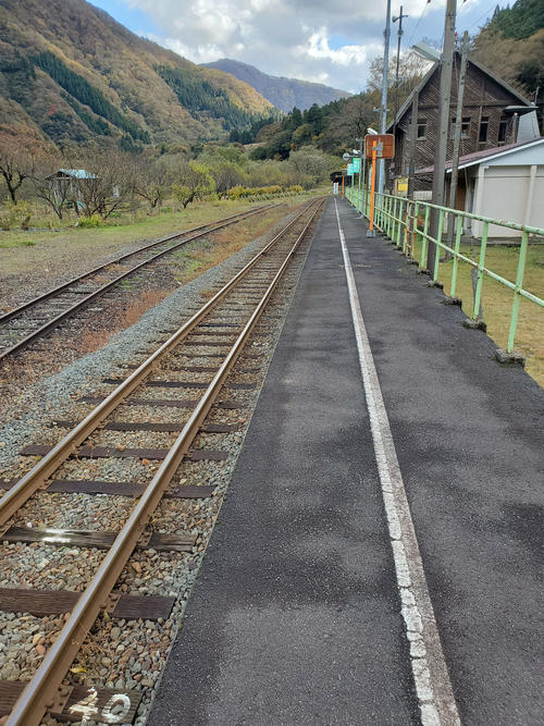 〈15〉かつては広い構内があった名残がある。左奥の木々が4月に一斉に開花する