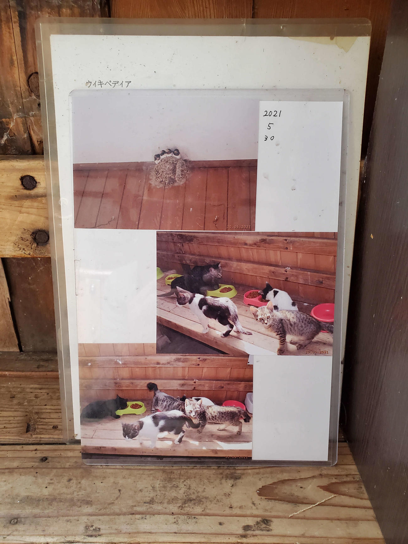 〈12〉駅舎内に展示された写真。初夏にはツバメも訪れるようだ