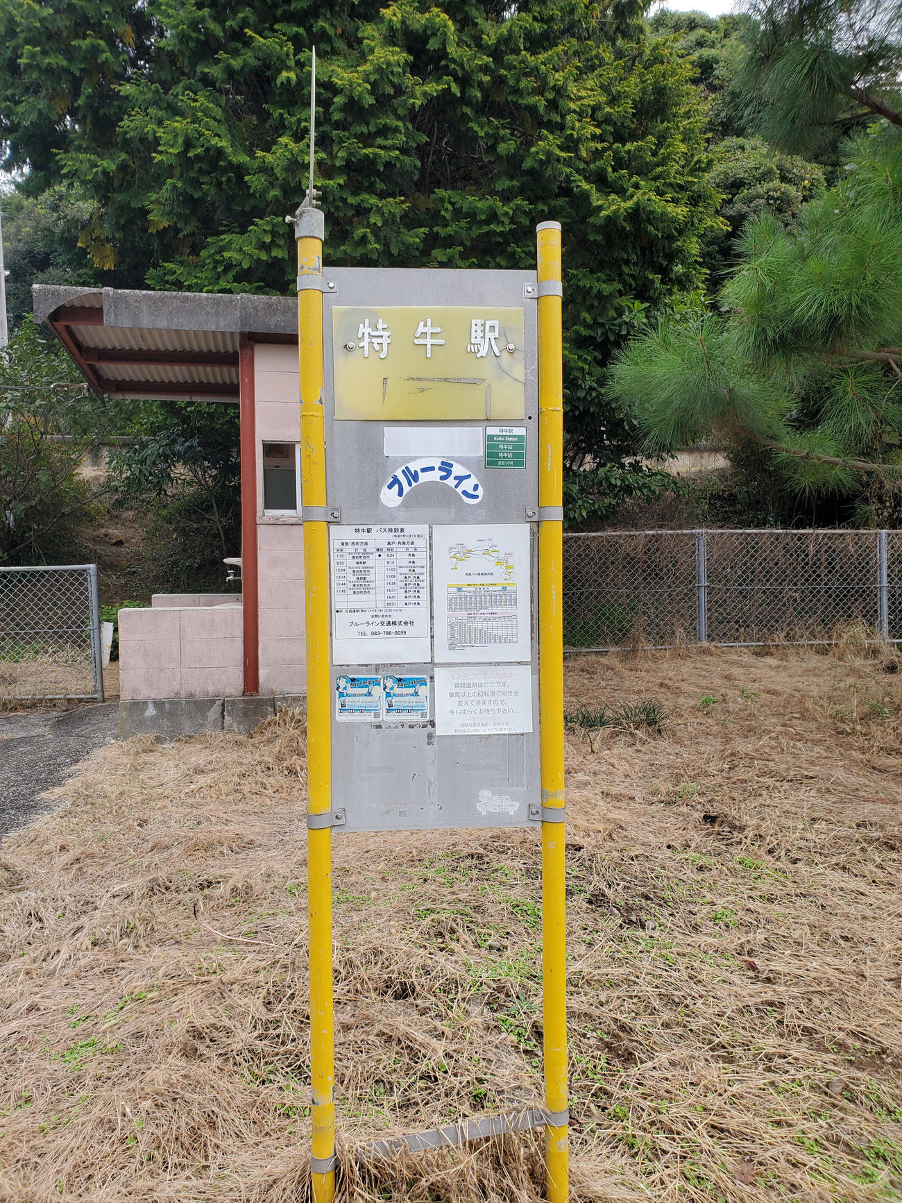 〈15〉駅前のバス停