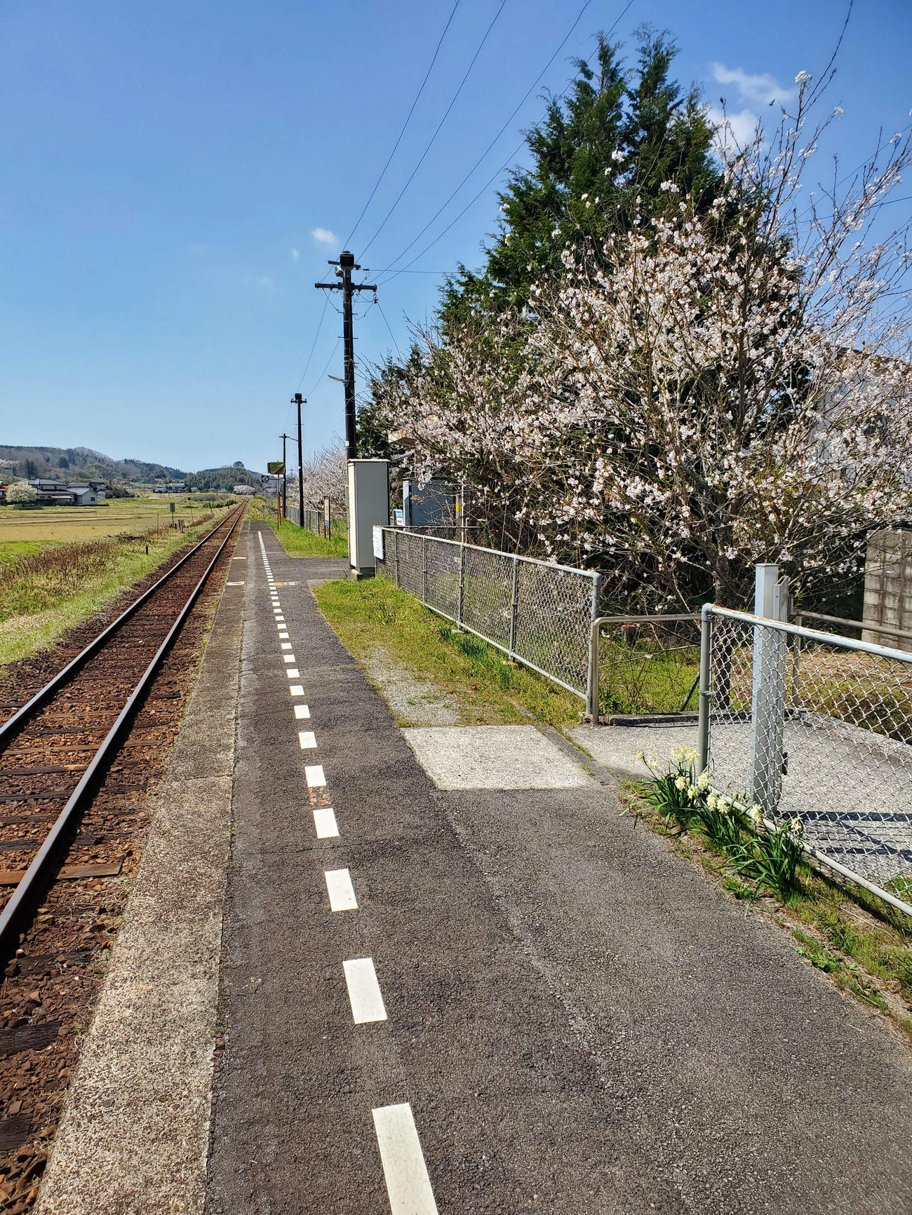 〈11〉棒状ホームのみの駅である