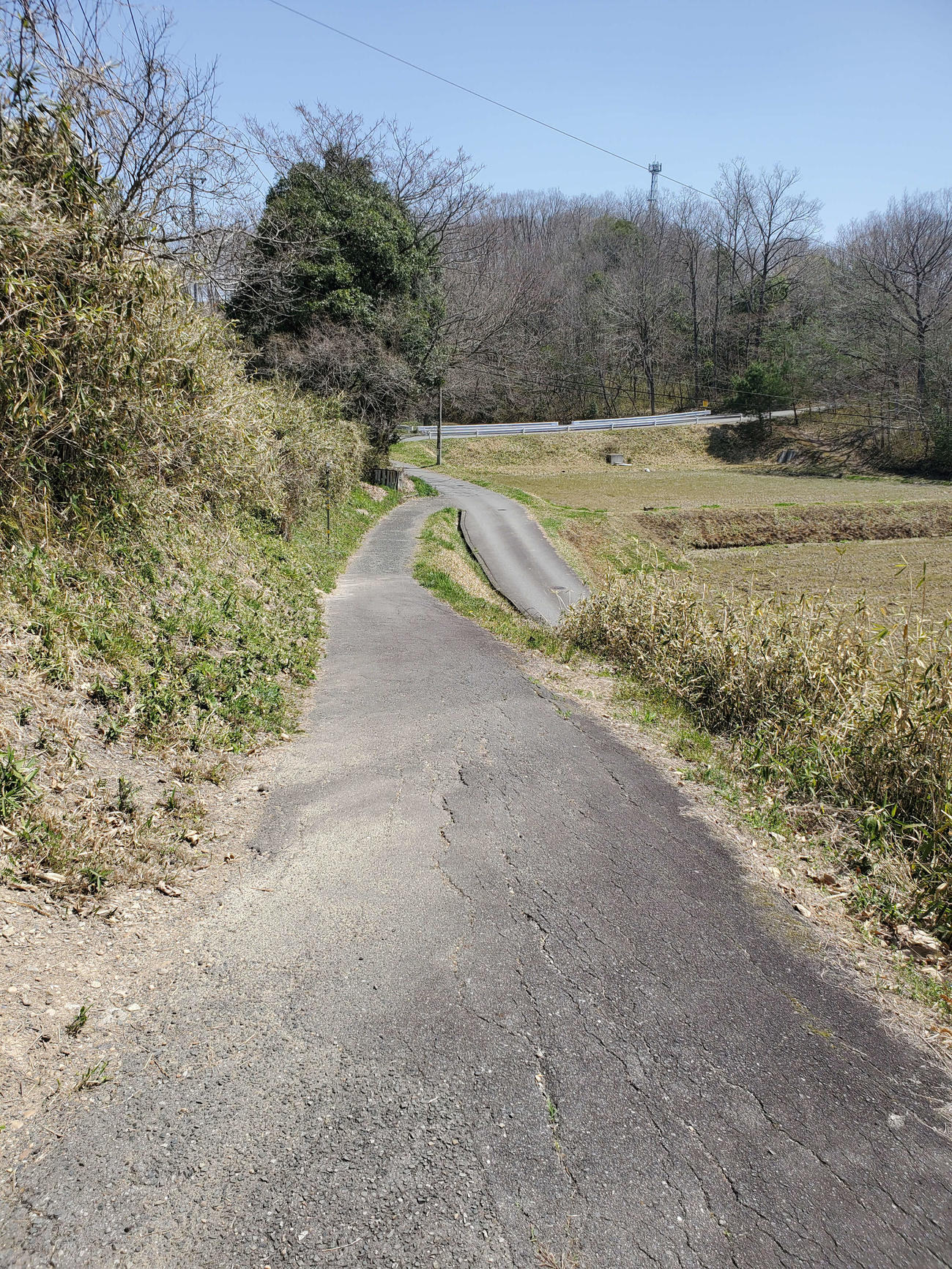 〈15〉駅への入り口はこのスロープのみ