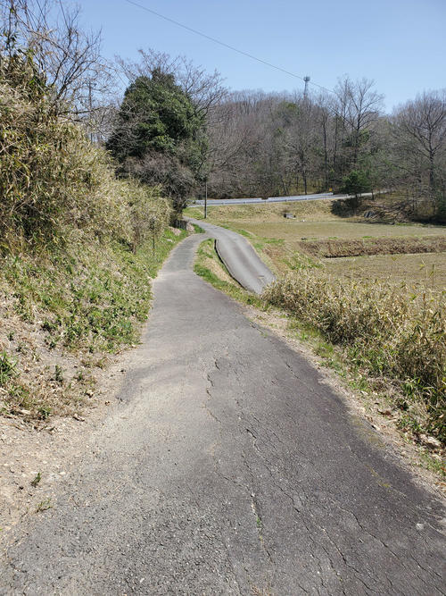 〈15〉駅への入り口はこのスロープのみ