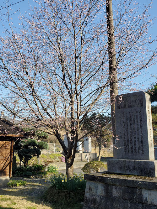 〈4〉駅開設の石碑が残る。桜はまだ満開ではなかった
