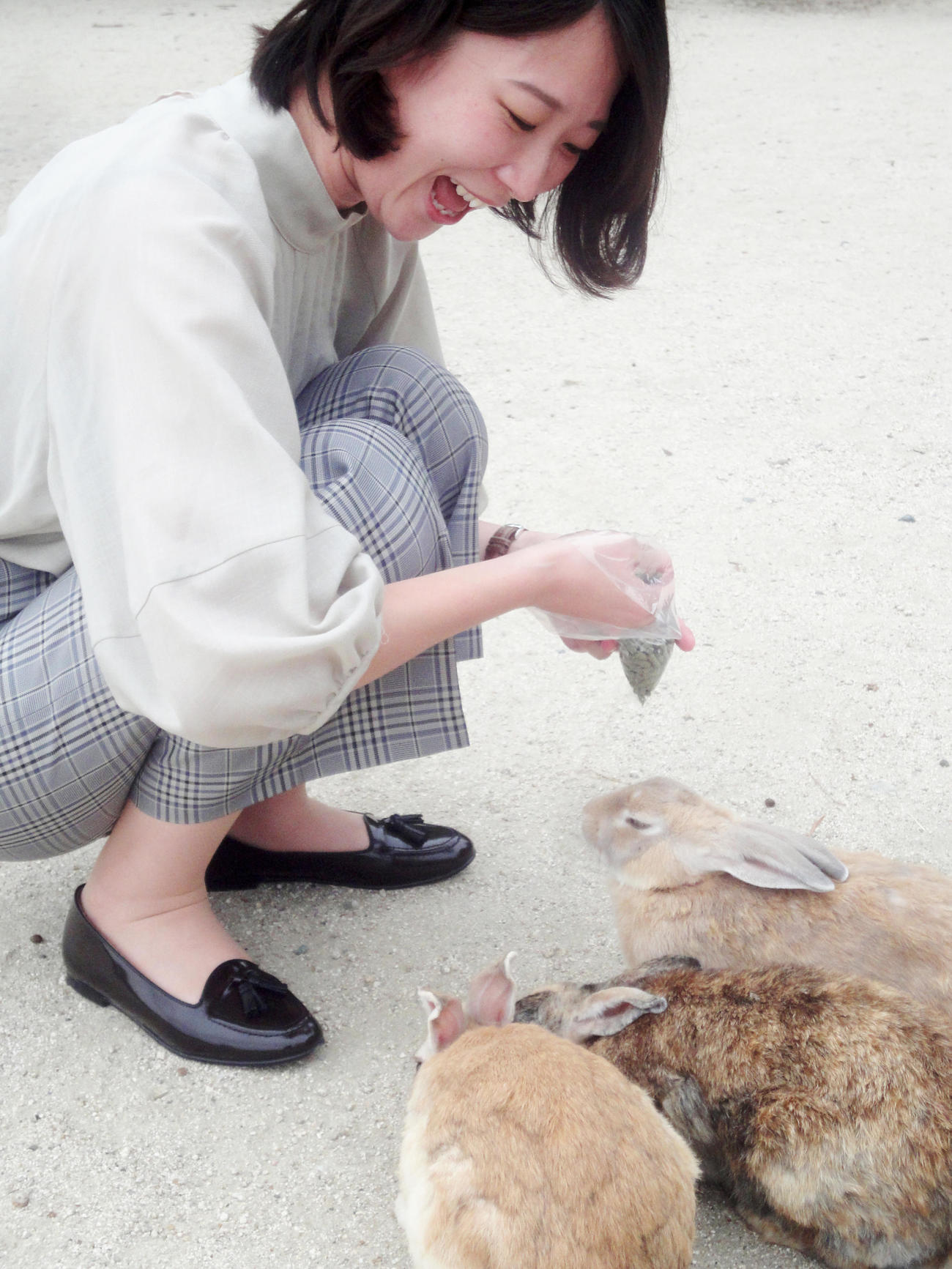 ウサギの島「大久野島」で餌をやる