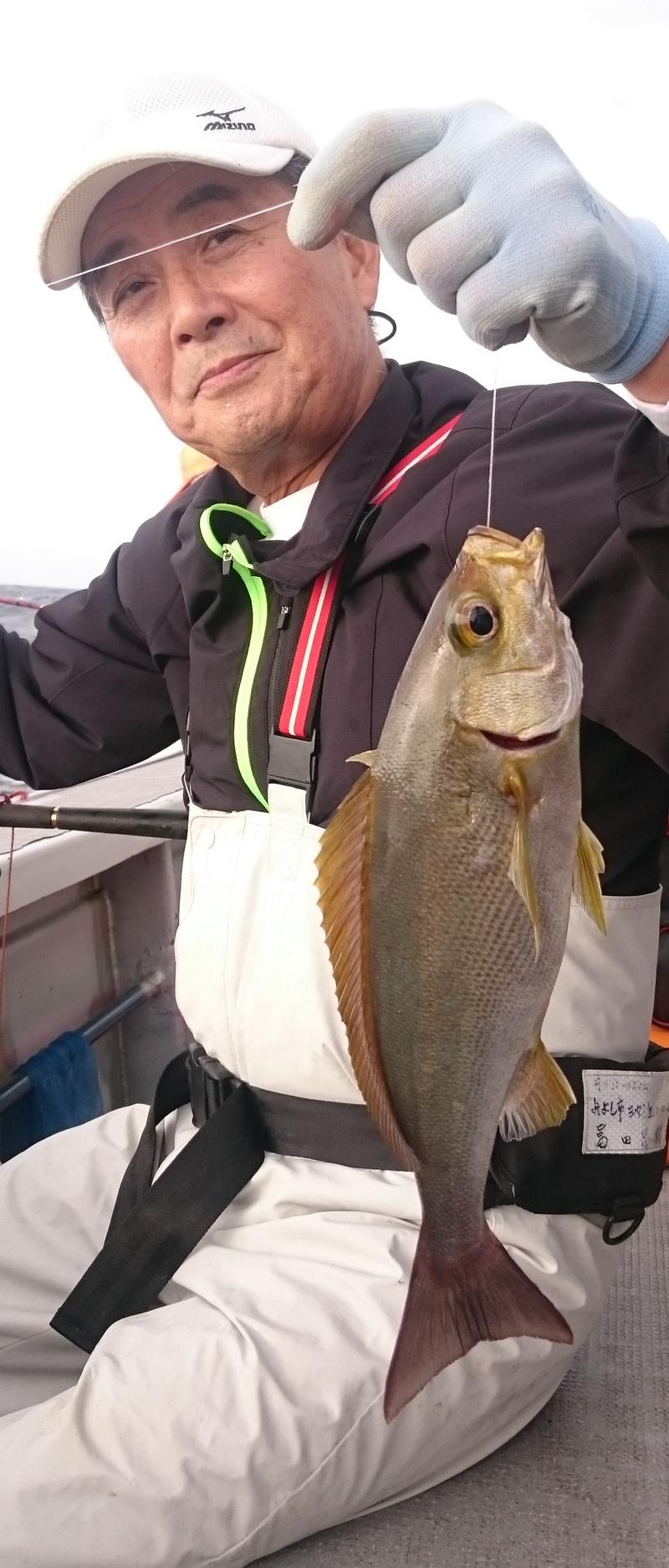 静岡 御前崎 カツオが絶好調 良型イサキもいける 釣り 日刊スポーツ