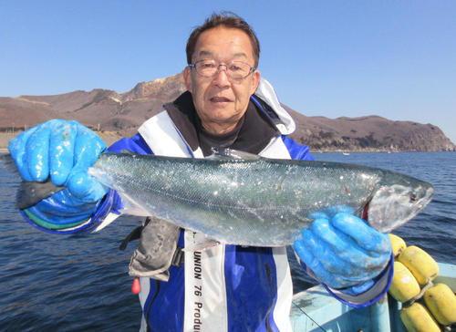 良型のサクラマスを数釣った函館市の森清孝さん