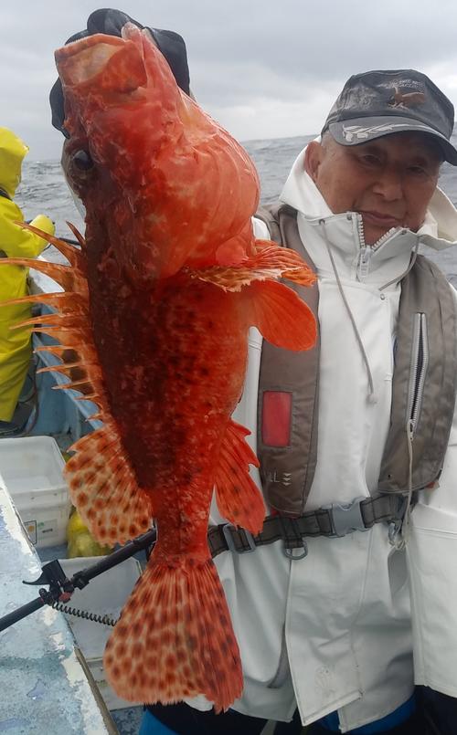 きたー、1・8キロの大物だ