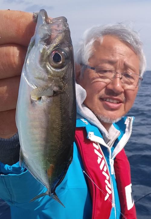 「さすが金アジ、キラキラしている」と木村さんはドヤ顔