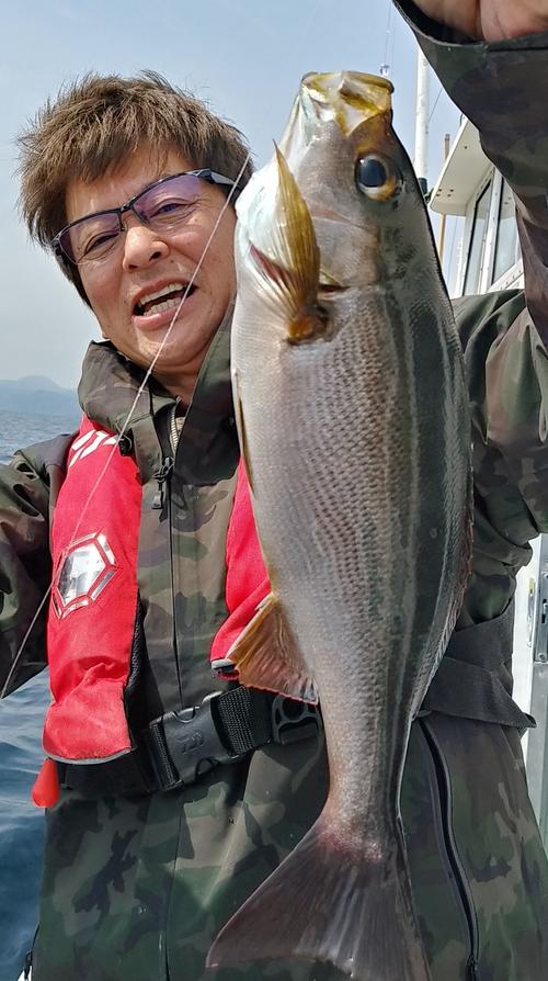 6匹目。最後も大きいイサキだ