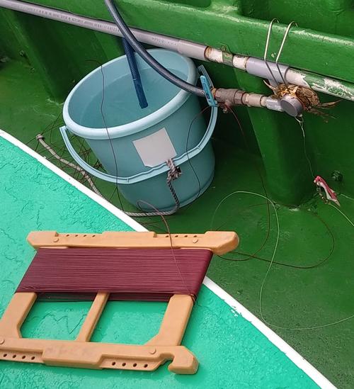 マダコはサオではなく、じかに手で釣る。渋糸とイシガニをくくりつけたテンヤバリ仕掛けを結ぶだけだ