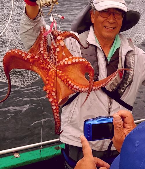 釣り上げたマダコは宮川船長がカメラに収めてHPに写真掲載してくれますよ