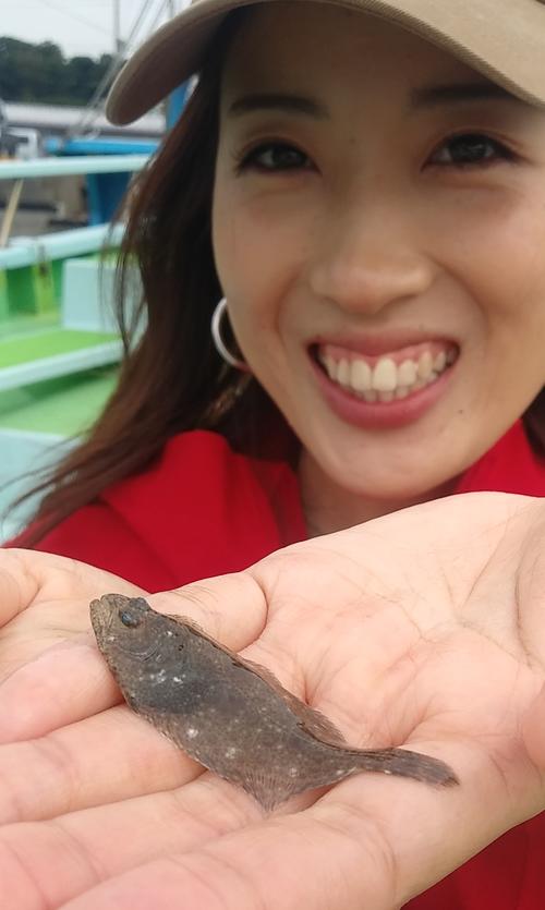 「きゃー、こんなヒラメ初めてみた」とオカマリ大興奮