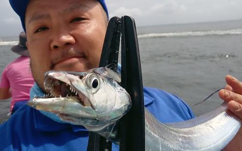 タチウオ、暑くなってだんだん大きくなってきた