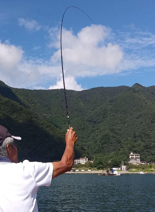 サオがきれいに曲がって青空に映えた