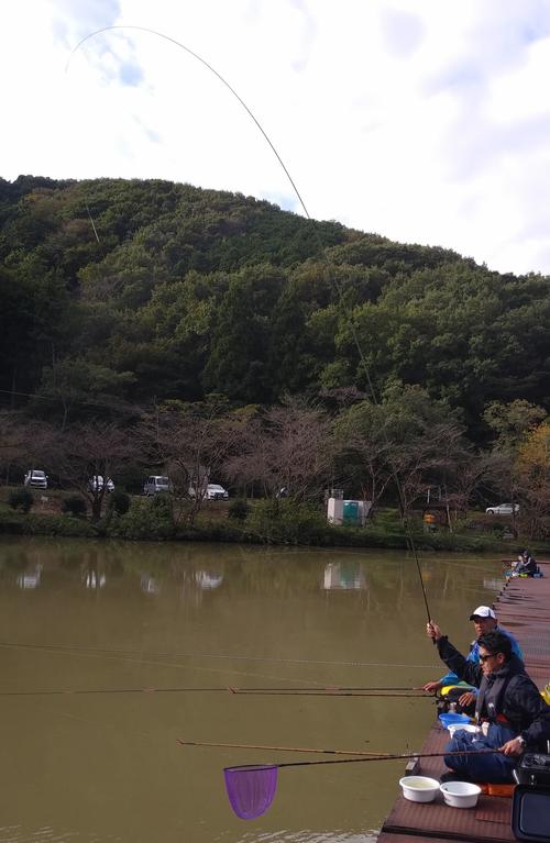 釣れた。18尺のサオがキュンと弓なりになった