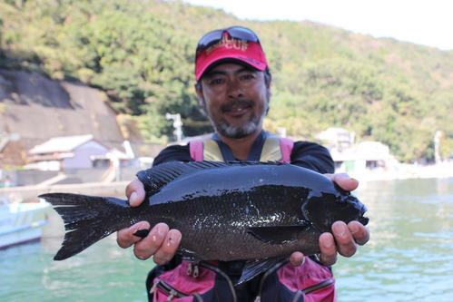 三重 尾鷲サンラインカップ磯 中尾さん念願ｖ 釣り 日刊スポーツ