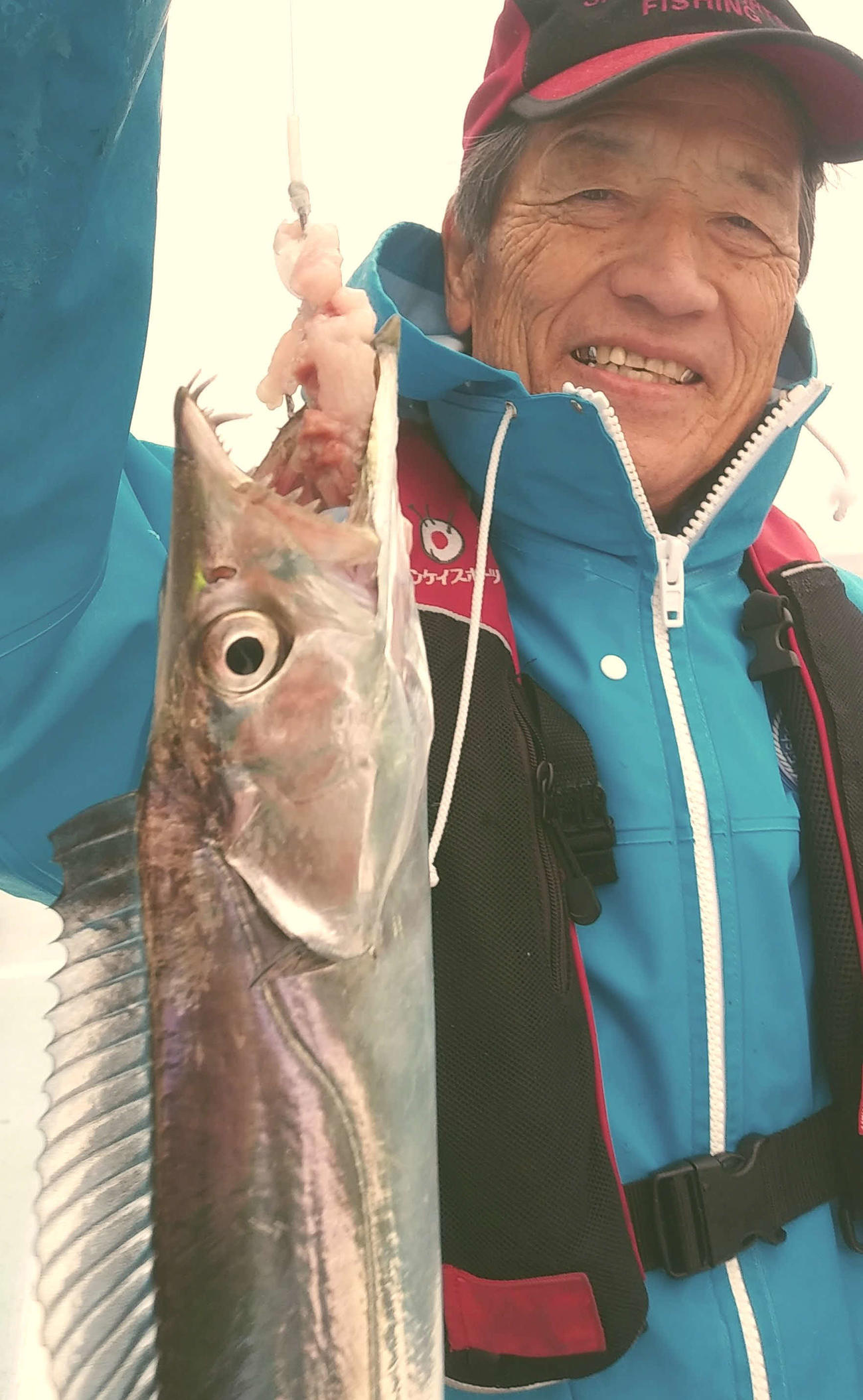 茨城の海で突然のタチウオ。太い。上がったばかりの体色はややゴールド