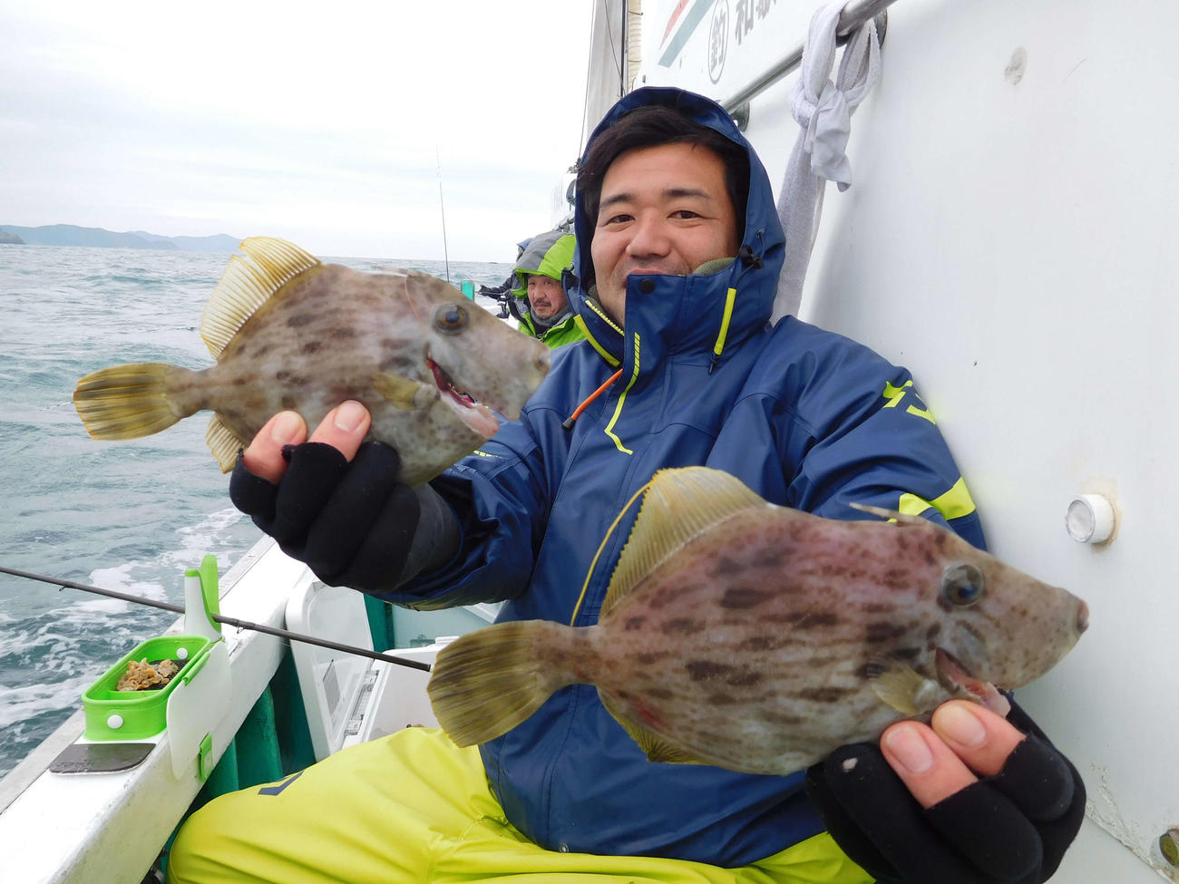 田尻さんが底ハワセで釣った24、25センチのカワハギ
