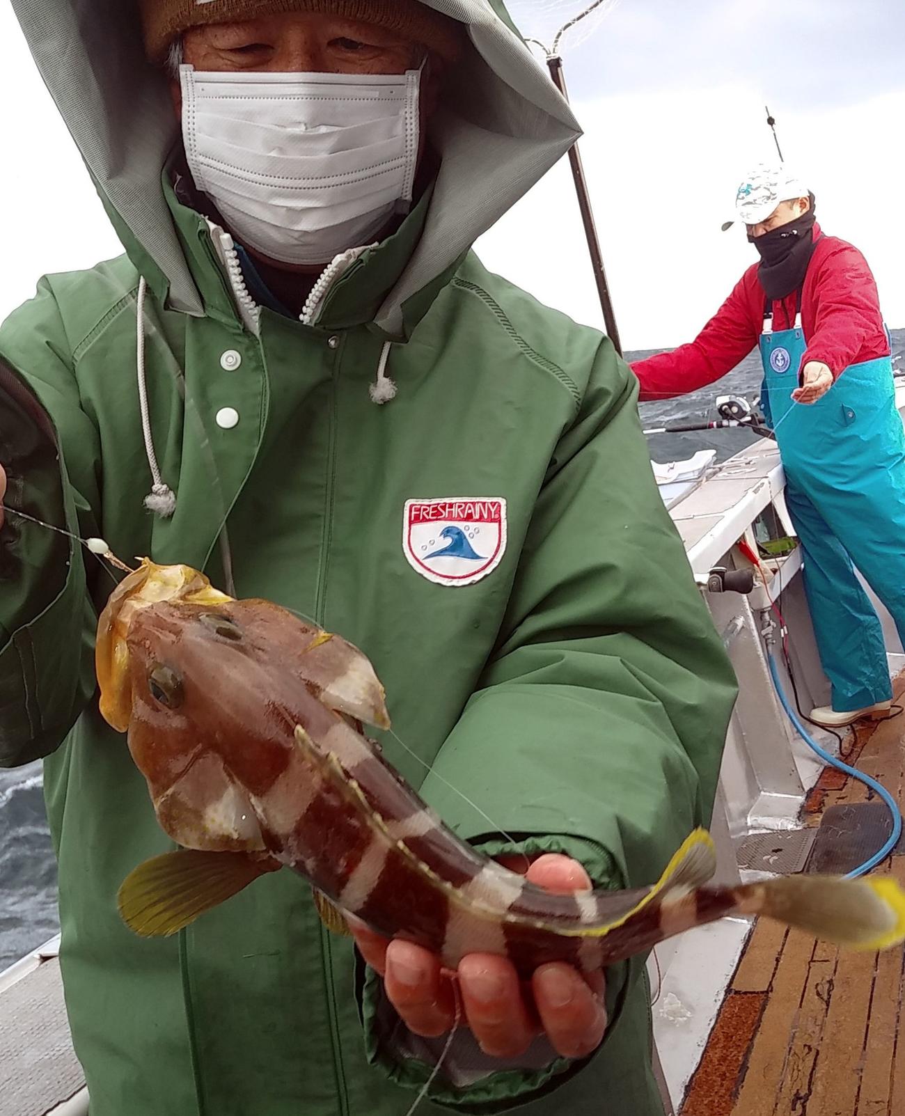 アオハタも釣れる