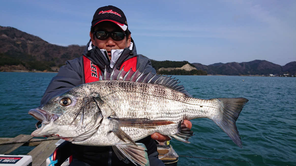パワフルな締め込みを楽しませてくれた48センチのチヌ