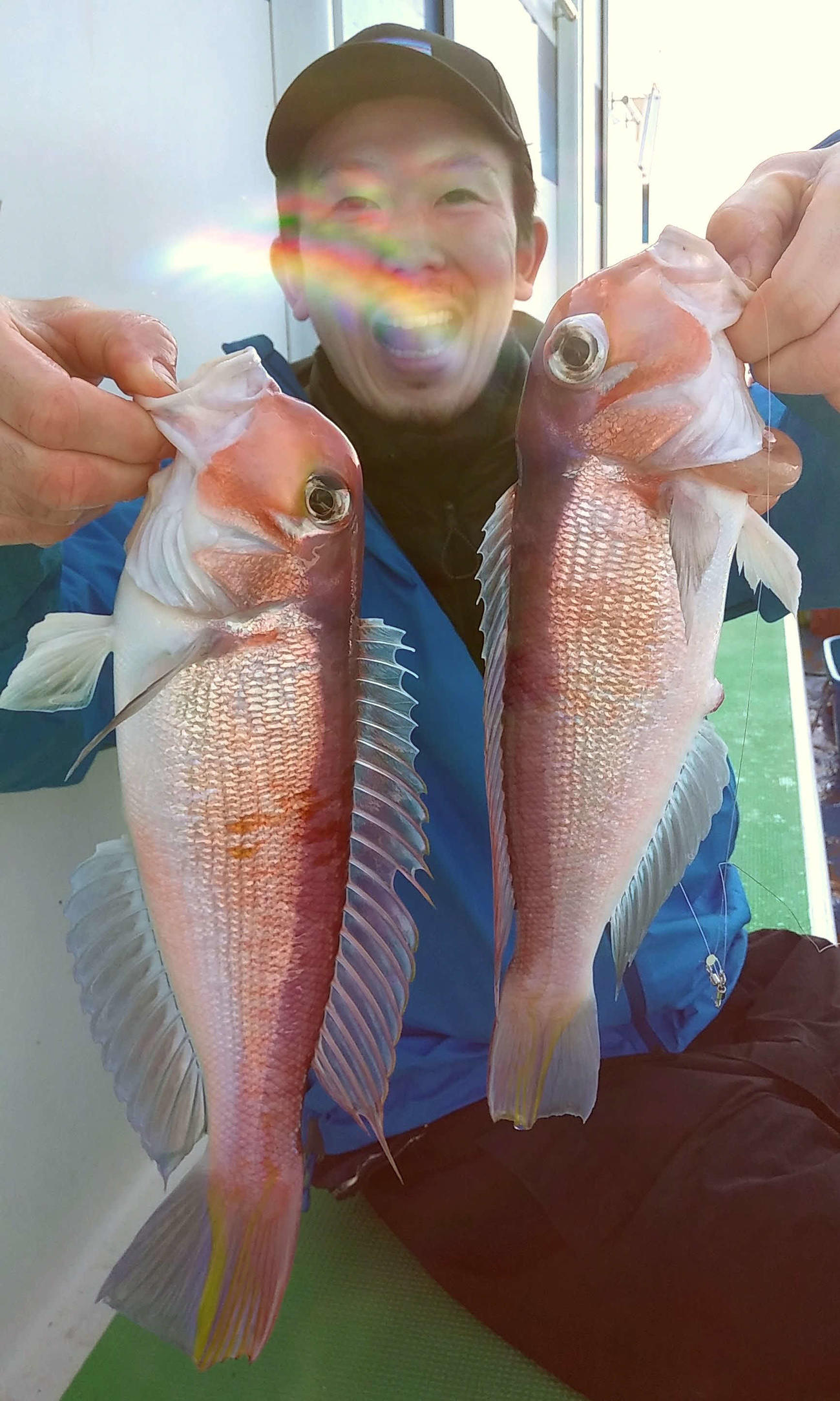 ナイスサイズのアマダイ2匹。祝福するかのように虹のように顔の部分に光が差し込んだ