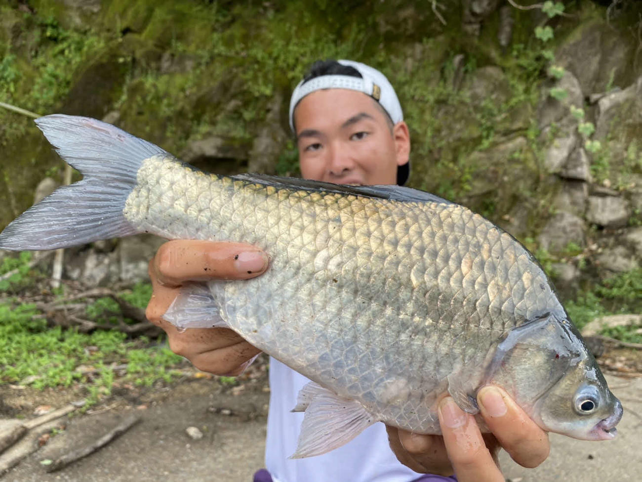 両手で耐えるほどの強烈な突っ込みを楽しませてくれた37.5センチのヘラブナ